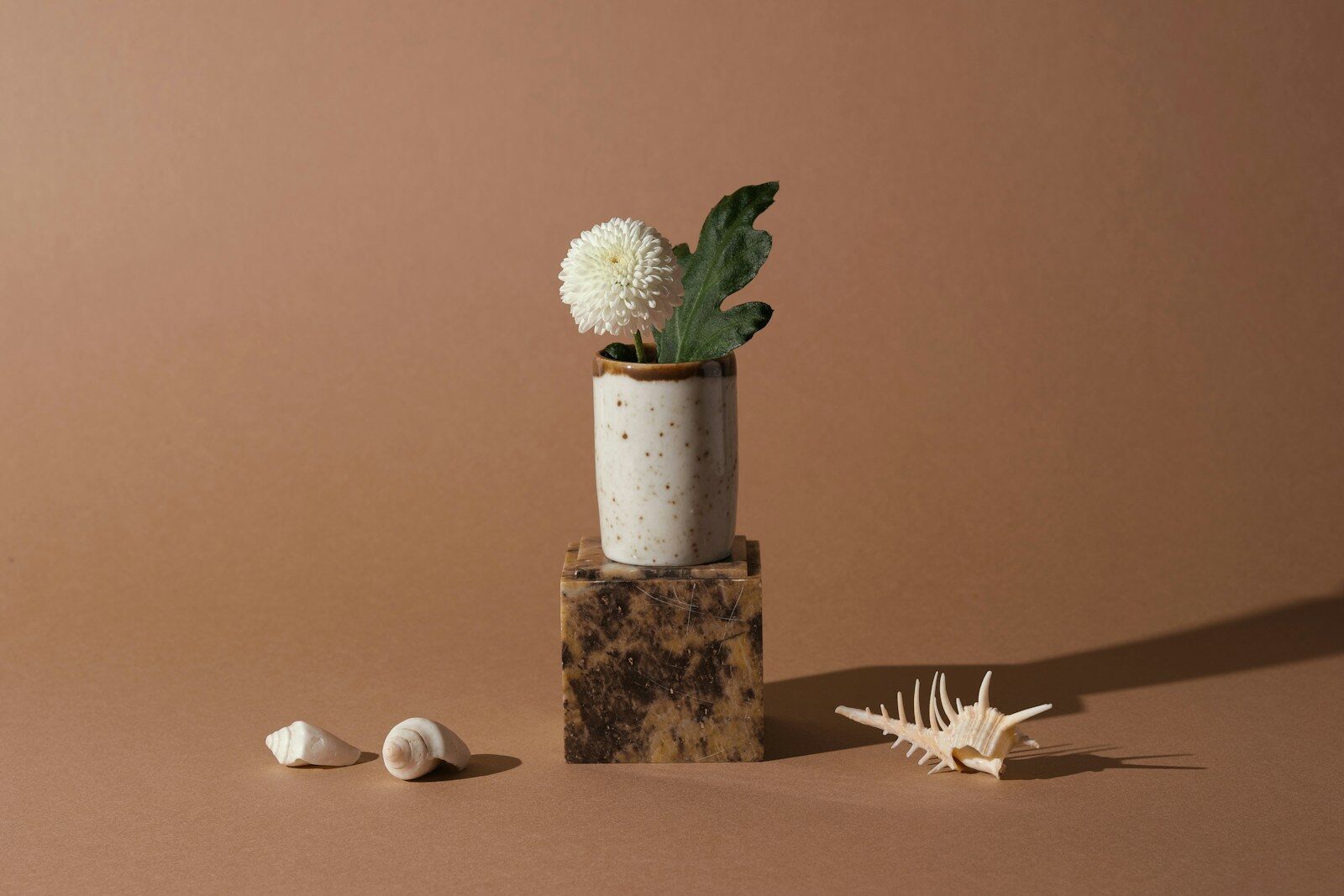 Updating & Revising SOW